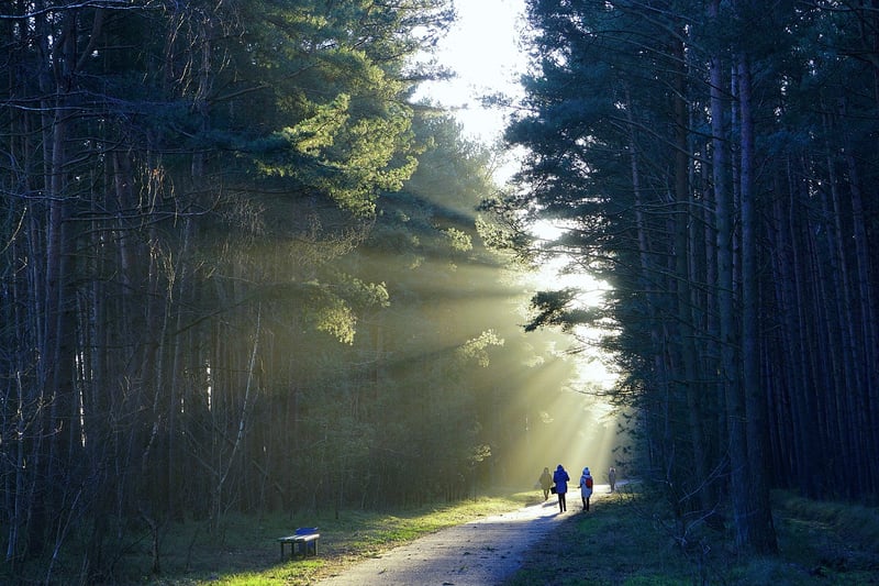 Walking in nature